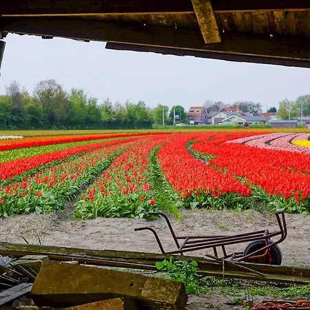 Tulp & Zee, Aan Zee 펜션