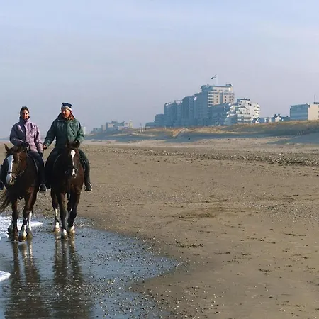 Tulp & Zee, Aan Zee